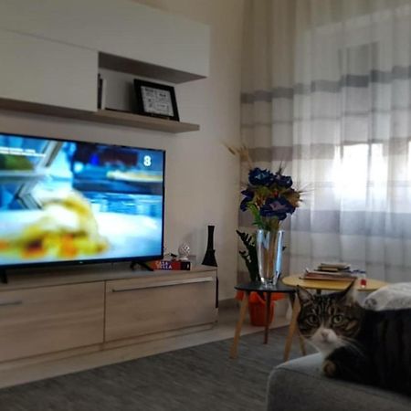 Apartament Casa Adele Siena Zewnętrze zdjęcie